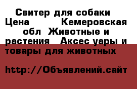  Свитер для собаки › Цена ­ 450 - Кемеровская обл. Животные и растения » Аксесcуары и товары для животных   